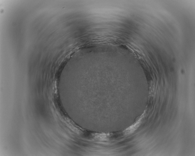 X0000086890182200704231137