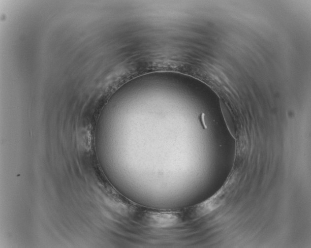 X0000086890183200704231137