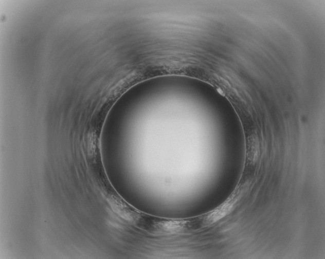 X0000086890184200704231137