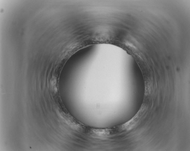 X0000086890187200704231137