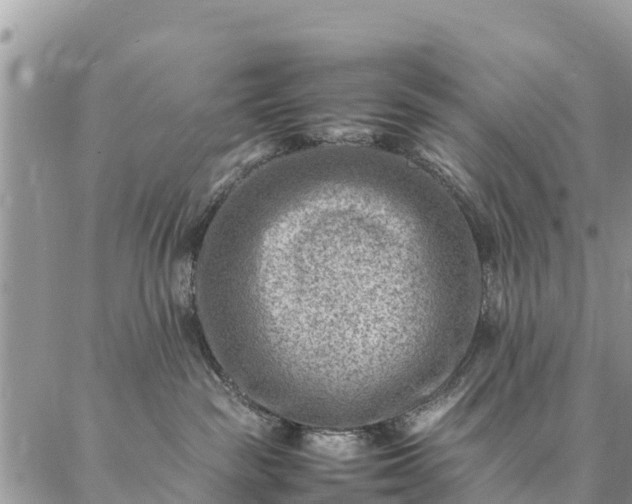 X0000086890189200704231137