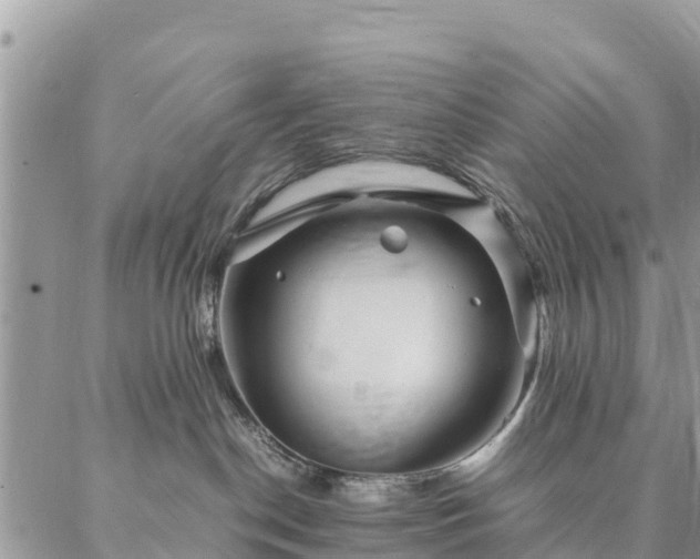 X0000086890190200704231137