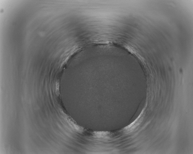 X0000086890192200704231137