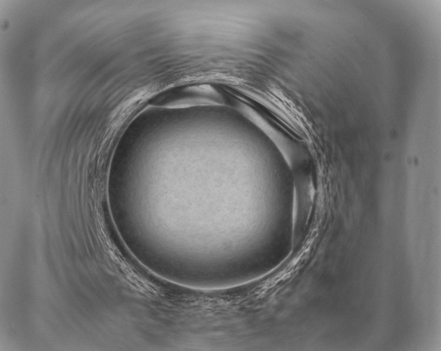 X0000086890193200704231136