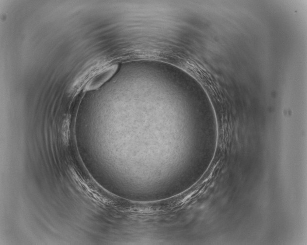 X0000086890194200704231136