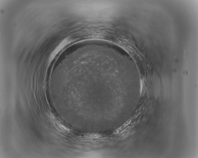 X0000086890195200704231136