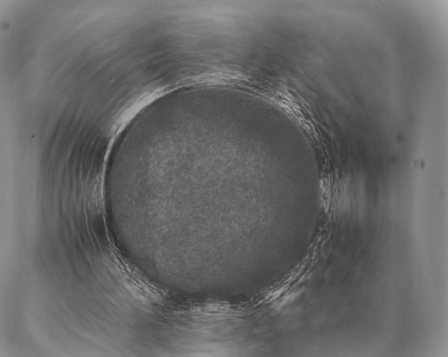 X0000086890196200704231136