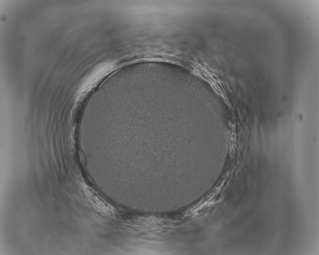 X0000086890197200704231136