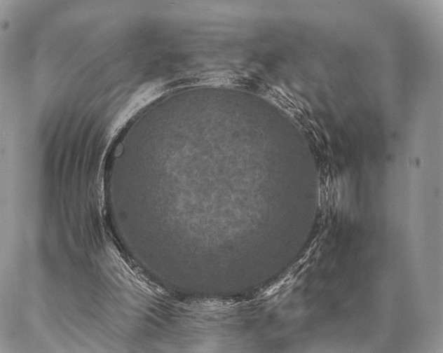 X0000086890198200704231136