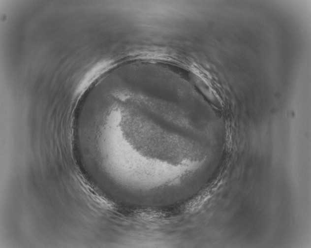 X0000086890199200704231136