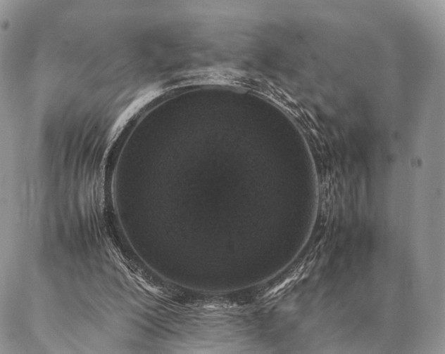 X0000086890200200704231136