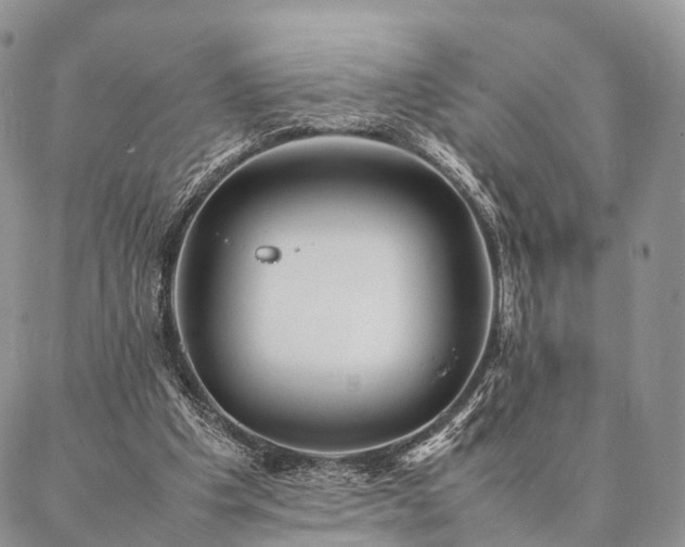 X0000086890201200704231136