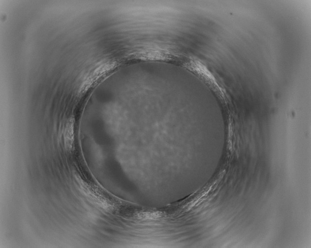 X0000086890202200704231136