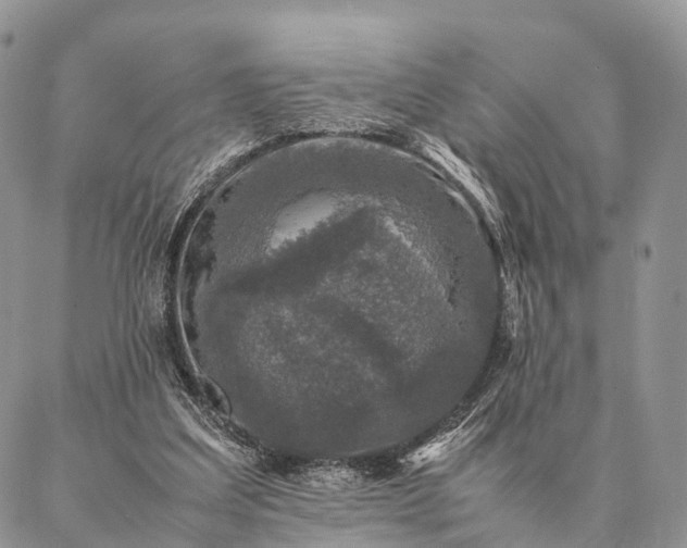 X0000086890203200704231136