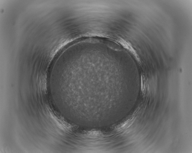 X0000086890204200704231136