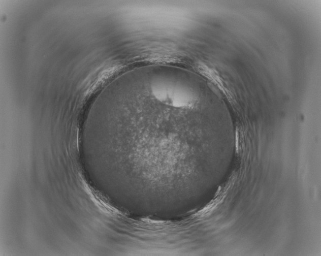 X0000086890205200704231136