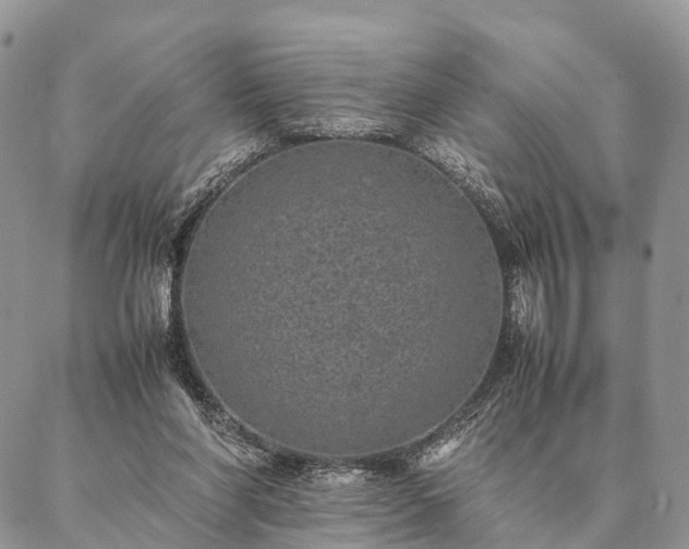 X0000086890206200704231136