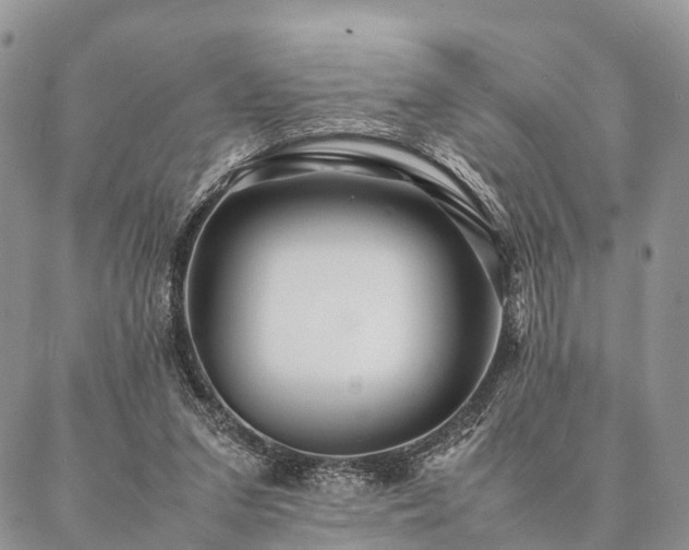 X0000086890207200704231136