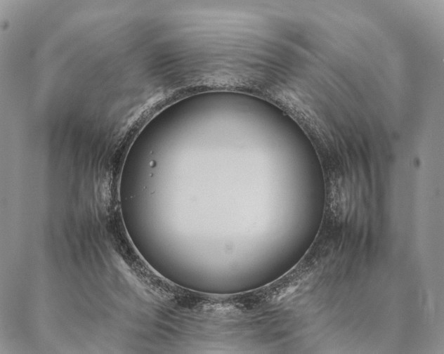 X0000086890208200704231136