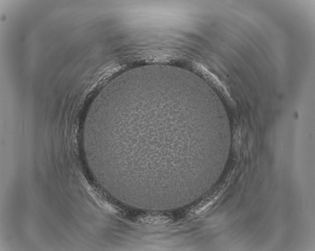 X0000086890209200704231136