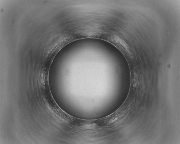 X0000086890210200704231136