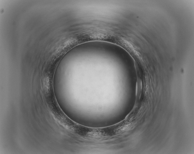 X0000086890211200704231136