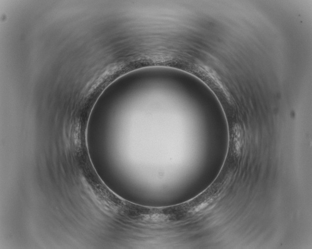 X0000086890212200704231136