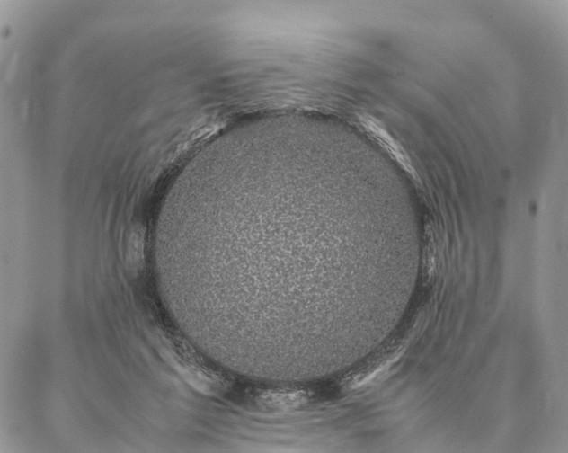 X0000086890213200704231136