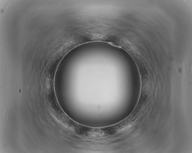 X0000086890215200704231136