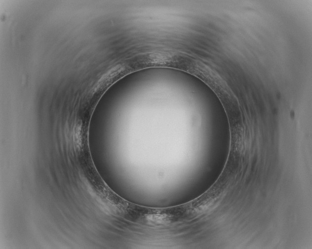 X0000086890216200704231136