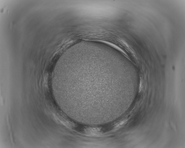 X0000086890217200704231136