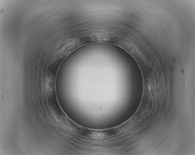 X0000086890218200704231136