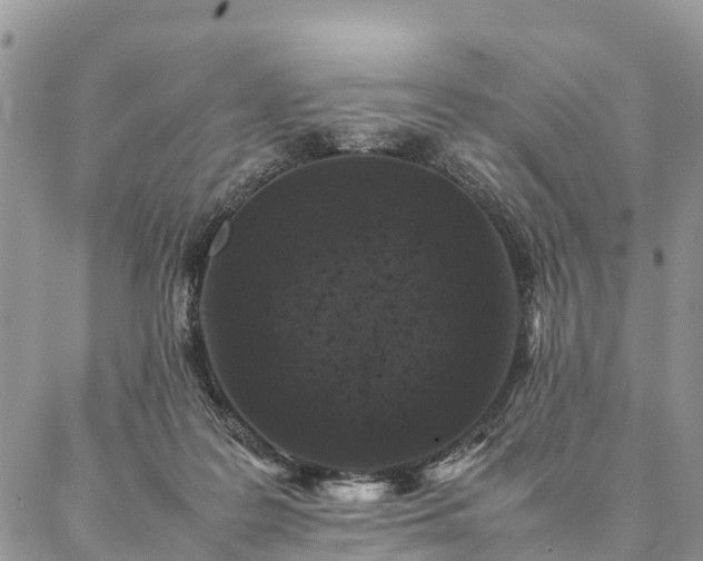 X0000086890219200704231136