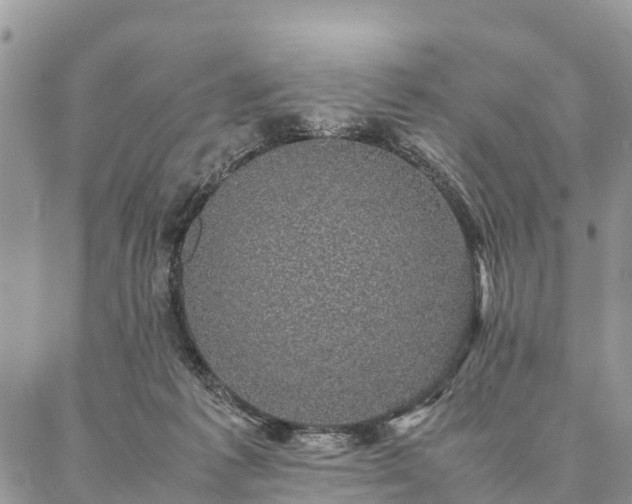 X0000086890221200704231136