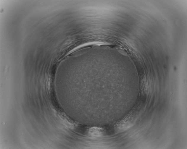 X0000086890222200704231136