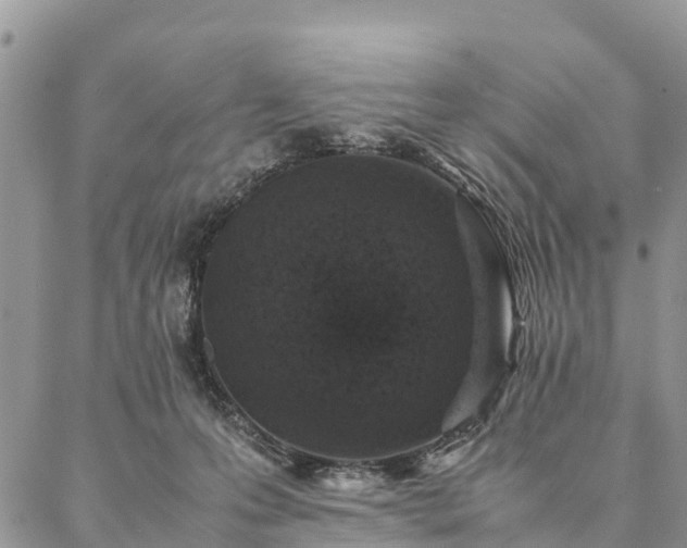 X0000086890223200704231136