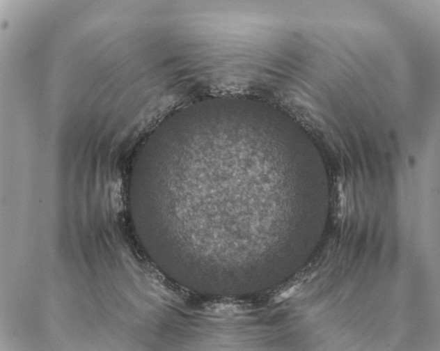 X0000086890224200704231136