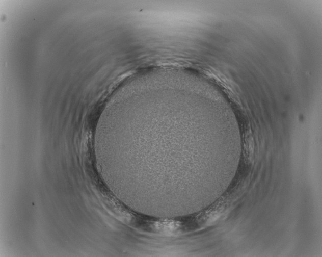 X0000086890225200704231136