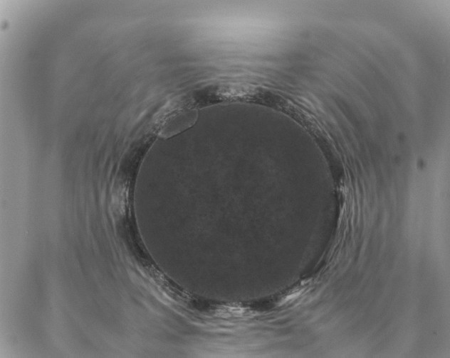 X0000086890227200704231136