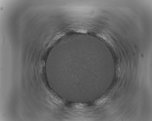 X0000086890229200704231136