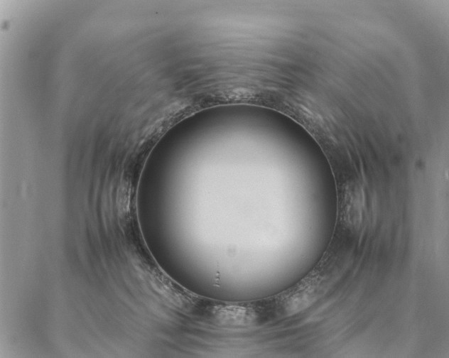 X0000086890230200704231136