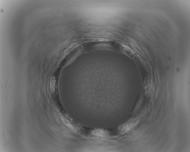 X0000086890231200704231136