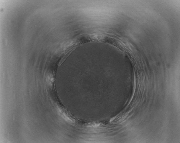 X0000086890235200704231136