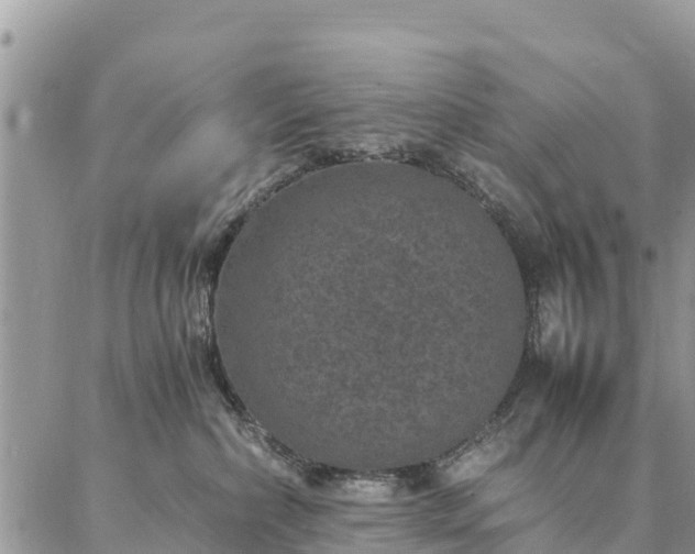 X0000086890236200704231136