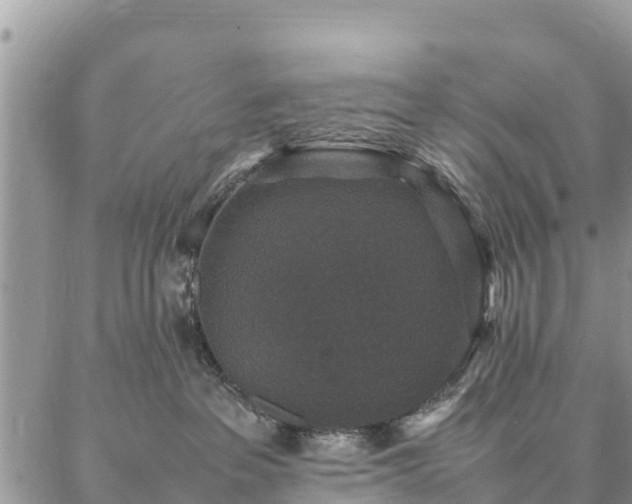 X0000086890237200704231136