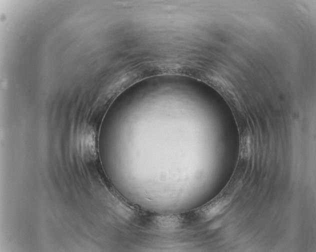 X0000086890238200704231136