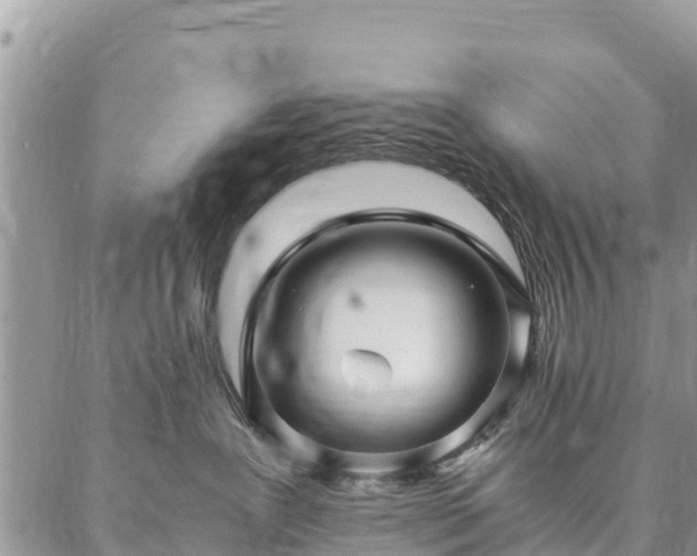 X0000086890239200704231136