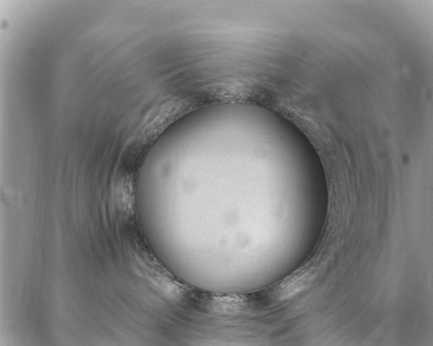 X0000086890240200704231136