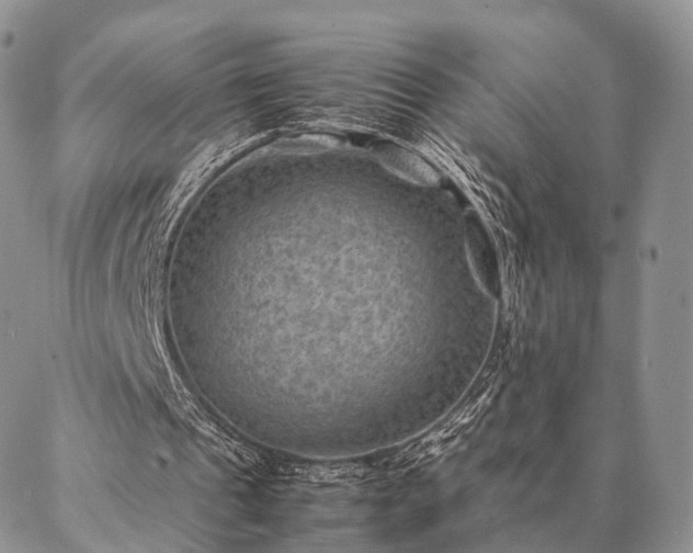 X0000086890241200704231135