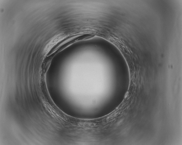 X0000086890242200704231135